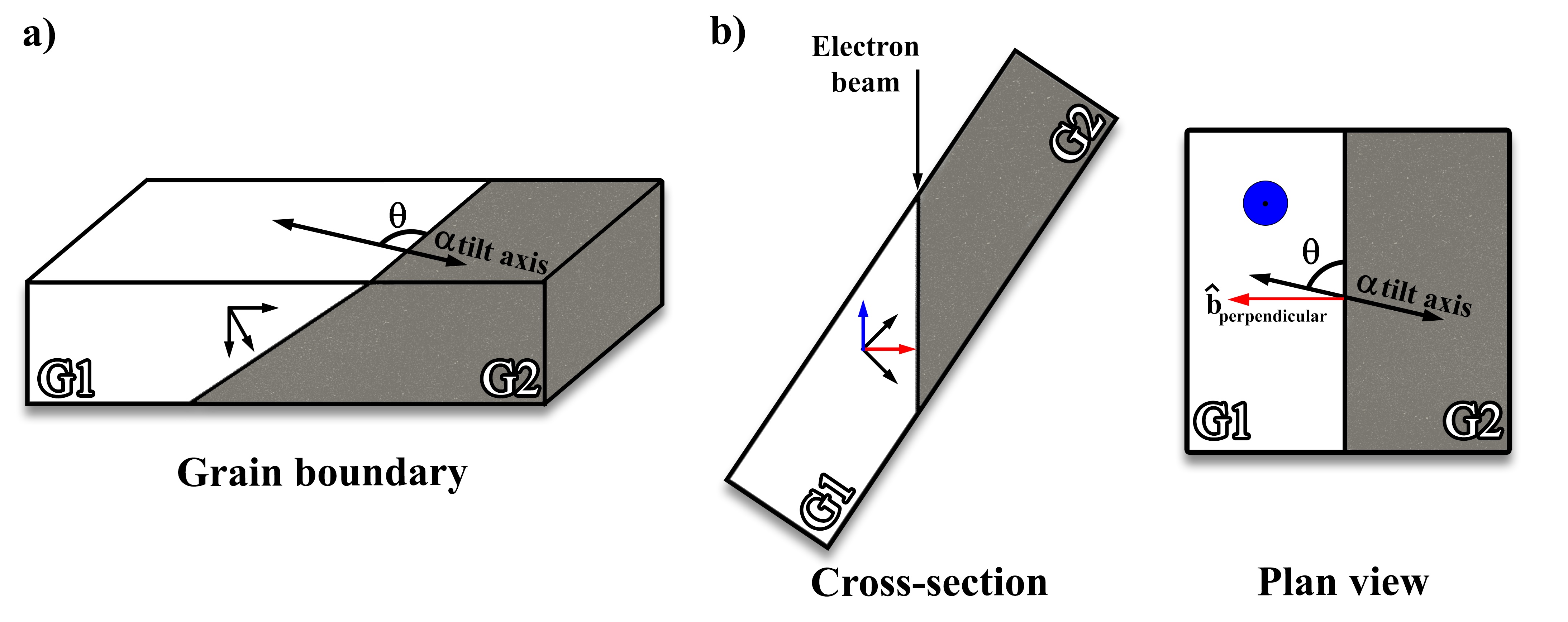 Schematic illustrating a grain boundary between two
grains (G1 and G2) in a standard orientation (a) and with the boundary
oriented edge on to the electron beam (b) shown in both cross-section
and plan views.